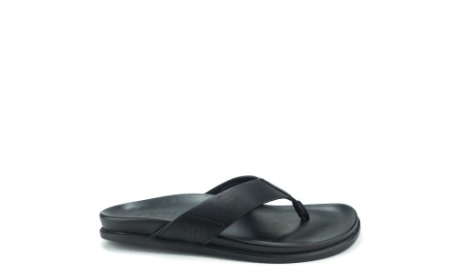 XTI 49616  NEGRO