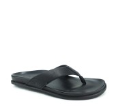 XTI 49616  NEGRO