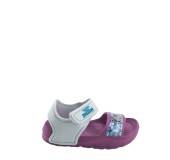 MERIDIAN 4350FP0310  VIOLET