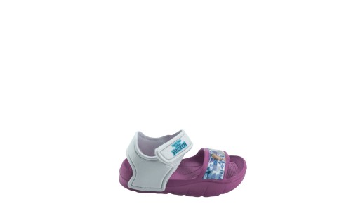 MERIDIAN 4350FP0310  VIOLET