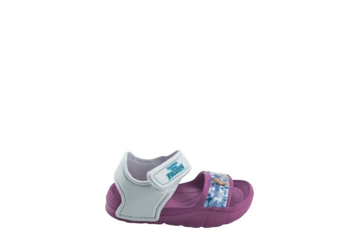 MERIDIAN 4350FP0310  VIOLET