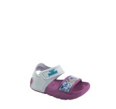 MERIDIAN 4350FP0310  VIOLET