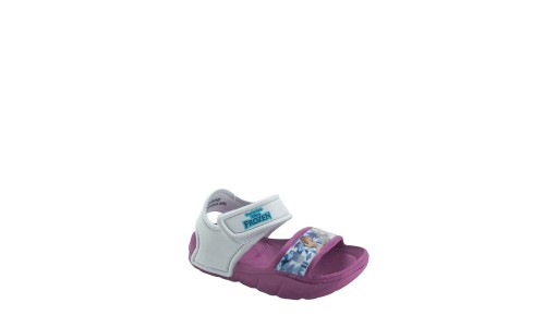 MERIDIAN 4350FP0310  VIOLET