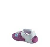MERIDIAN 4350FP0310  VIOLET