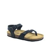 PLAKTON 181016  NEGRO