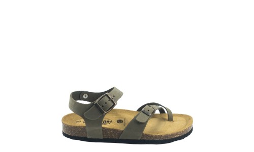 PLAKTON 181016  KAKI