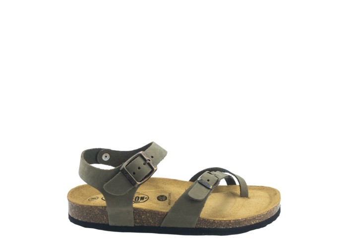 PLAKTON 181016 KAKI PLAKTON 181016 KAKI