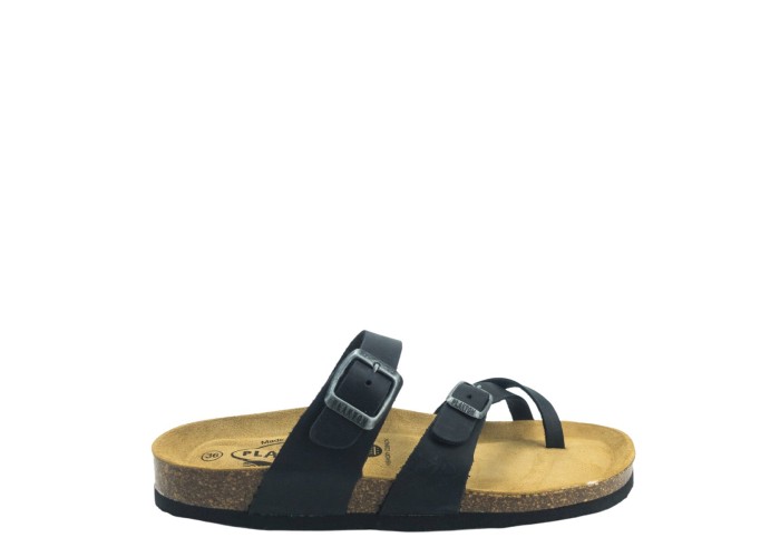PLAKTON 181032  NEGRO