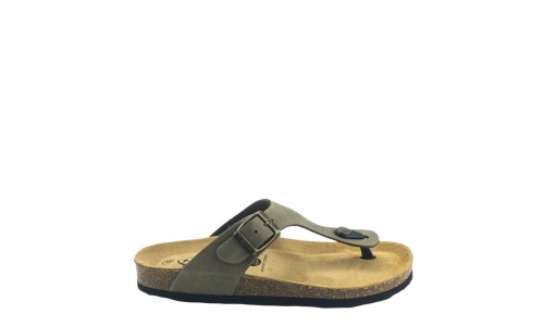 PLAKTON 181671  KAKI