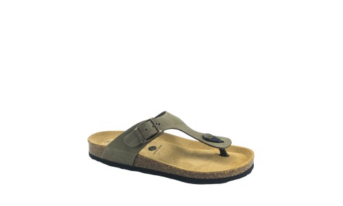 PLAKTON 181671  KAKI