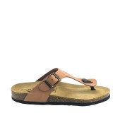 PLAKTON 181671 ARAGOSTA PLAKTON 181671 ARAGOSTA