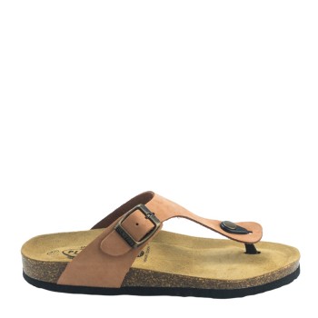 PLAKTON 181671  ARAGOSTA