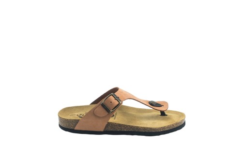 PLAKTON 181671  ARAGOSTA