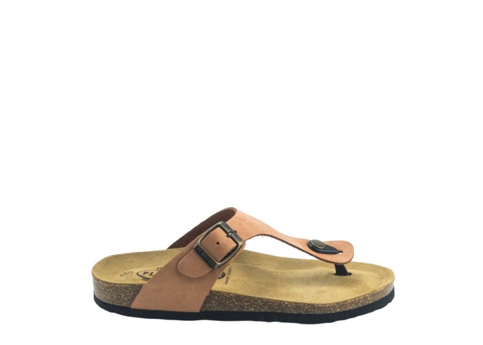 PLAKTON 181671 ARAGOSTA PLAKTON 181671 ARAGOSTA
