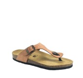 PLAKTON 181671 ARAGOSTA PLAKTON 181671 ARAGOSTA