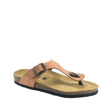 PLAKTON 181671  ARAGOSTA