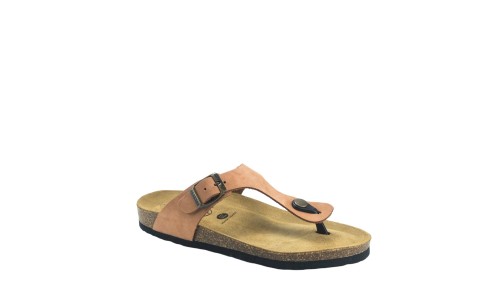 PLAKTON 181671  ARAGOSTA
