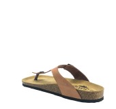PLAKTON 181671 ARAGOSTA PLAKTON 181671 ARAGOSTA