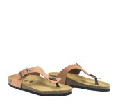 PLAKTON 181671 ARAGOSTA PLAKTON 181671 ARAGOSTA