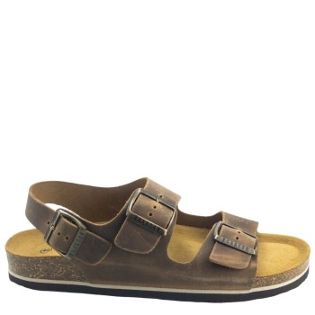 PLAKTON 175113  ROBLE
