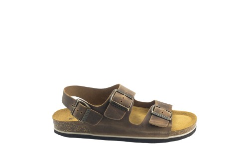 PLAKTON 175113  ROBLE