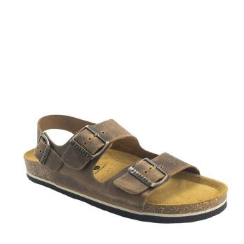 PLAKTON 175113  ROBLE