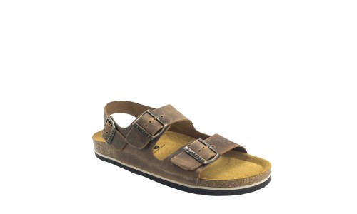 PLAKTON 175113  ROBLE