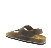 PLAKTON 175113 ROBLE PLAKTON 175113 ROBLE