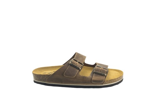 PLAKTON 175857  ROBLE