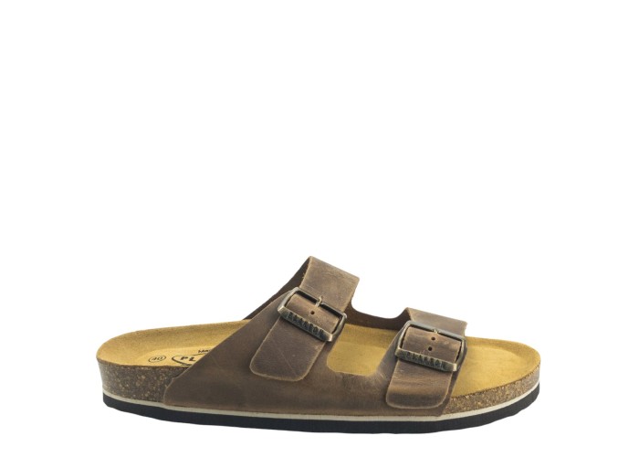 PLAKTON 175857  ROBLE