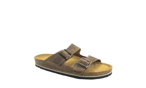 PLAKTON 175857  ROBLE
