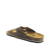 PLAKTON 175857  ROBLE