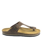 PLAKTON 175081  ROBLE