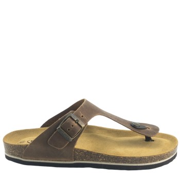 PLAKTON 175081  ROBLE