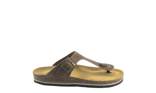 PLAKTON 175081  ROBLE