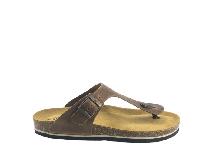 PLAKTON 175081  ROBLE