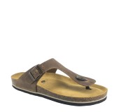 PLAKTON 175081  ROBLE
