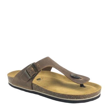 PLAKTON 175081  ROBLE