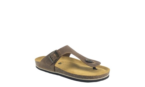 PLAKTON 175081  ROBLE