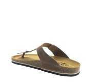 PLAKTON 175081  ROBLE