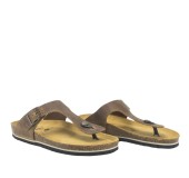 PLAKTON 175081  ROBLE