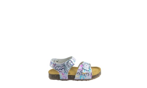 PLAKTON 861407  ROSA