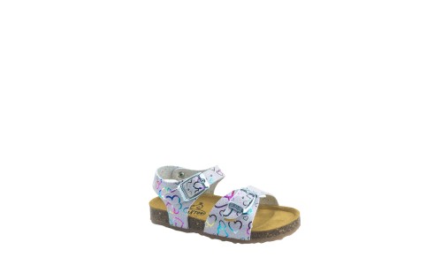 PLAKTON 861407  ROSA