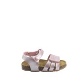 PLAKTON 865517  ROSE