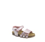 PLAKTON 865517  ROSE