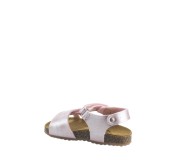 PLAKTON 865517  ROSE