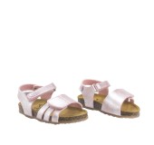 PLAKTON 865517  ROSE