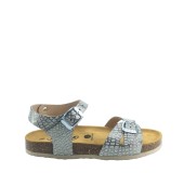 PLAKTON 131407  TITANIO TEEN