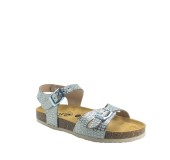 PLAKTON 131407  TITANIO TEEN
