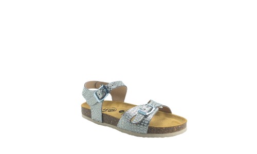 PLAKTON 131407  TITANIO TEEN